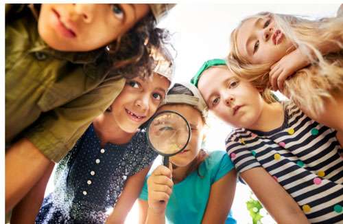 Let Curiosity Lead the Way